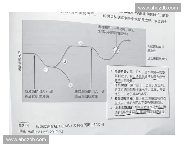 科学周期训练计划：全面提升体能与运动表现的系统方法